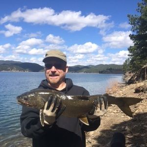 Meet your Posher, Todd